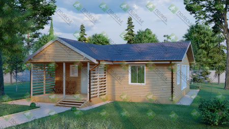 Каркасный дом Русь 10x10